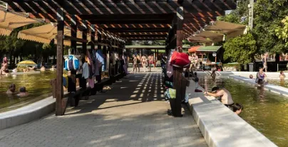 �ǻۺ���2026�ٷ����°汾