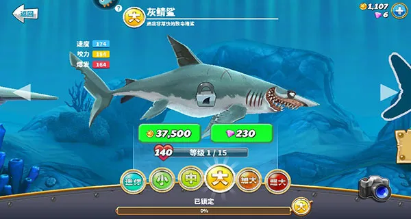 ���������������޸���