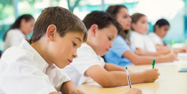 �й���������2026���°汾