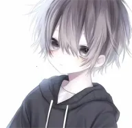 ����������3.0v990 �ֻ���