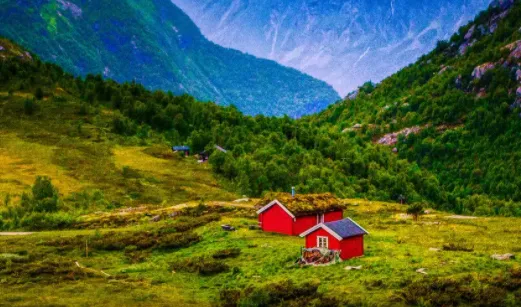 ������(����Ԥ������)