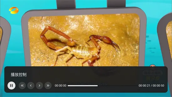 С�ɵ���2.9����v2.9.0 �ֻ���