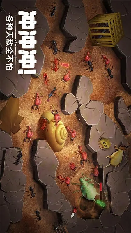 �����������޽��������ʯ��v1.1933.0 �ֻ���