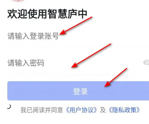 �ǻ�®��2026�ٷ�����