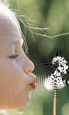 ��������ģ��2026���ذ�װv0.981 �ֻ���