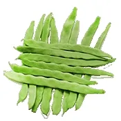 С�˶�2026�ٷ�����v4.1 �ֻ���