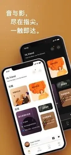 HiFier(���ֲ��Ź���)