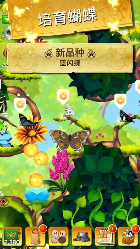 ������������������ӫ���