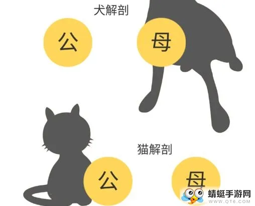 3dbody��������