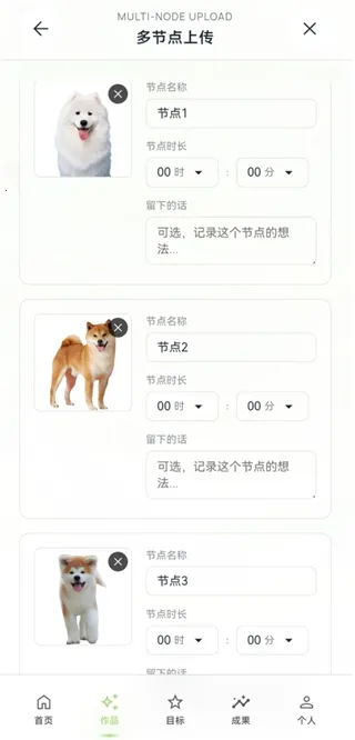EchoDraw(绘画记录软件) EchoDraw(绘画记录软件)