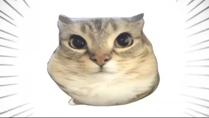 �ͰͲ�һ(δ�ἰ���ܵ㣬�޷�����)v1.0 ��׿��