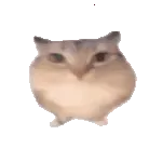 �ͰͲ�һ(δ�ἰ���ܵ㣬�޷�����)v1.0 ��׿��