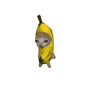 �ȱ�����2026�ٷ����°汾v1.0 �ֻ���