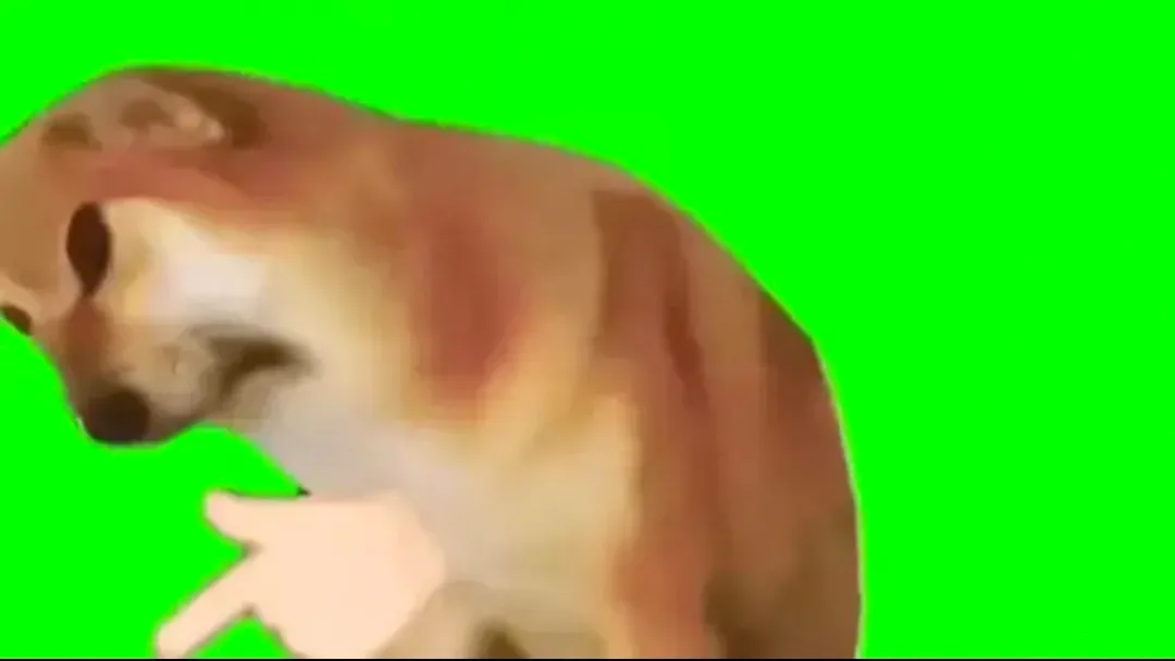 �˸�ѽ·�����ֻ���v1.0 �ֻ���