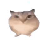 巴巴博一(未明确功能内容)v1.0 手机版