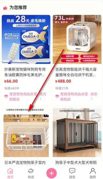 宠链宠物2026最新版本 宠链宠物2026最新版本