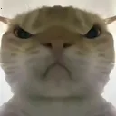 �������ж����󹤾�(�������ж�����)v1.0 ��׿��