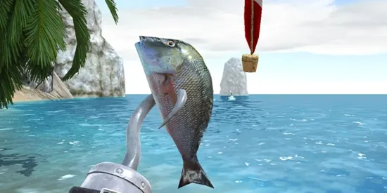 ���ĺ�����������2026����