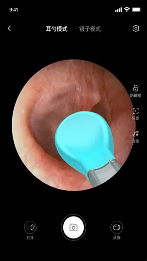 bebird采耳2026最新版本 bebird采耳2026最新版本