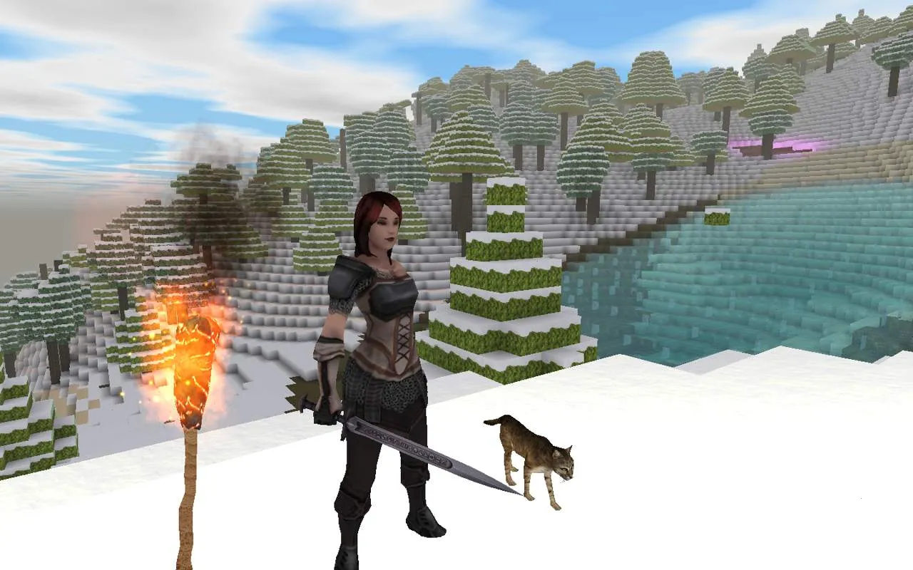 ������Ĺ���������ʯv16.5.1.1 �ֻ���