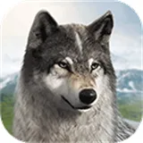 狼族崛起(狼题材角色扮演手游)v1.0.25 安卓版