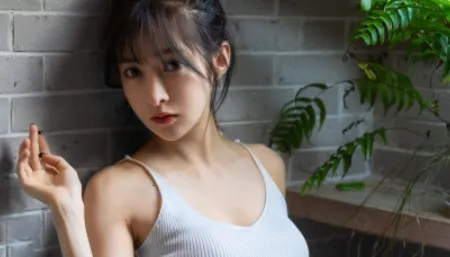 ���İ�׿���ֻ���