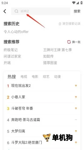 ��ҶӰ��(��ҶӰ��׷��)