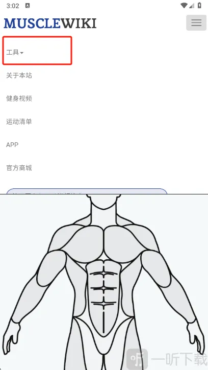 Muscle Wiki2026下载安装 Muscle Wiki2026下载安装