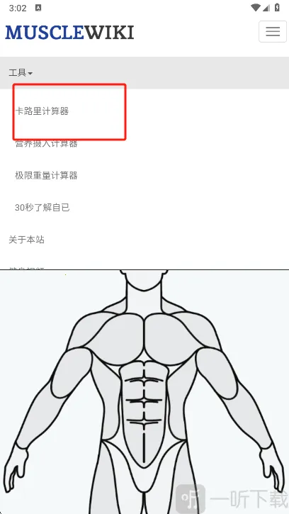 Muscle Wiki2026下载安装 Muscle Wiki2026下载安装