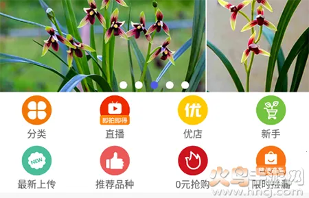 ����������(��������ƽ̨)