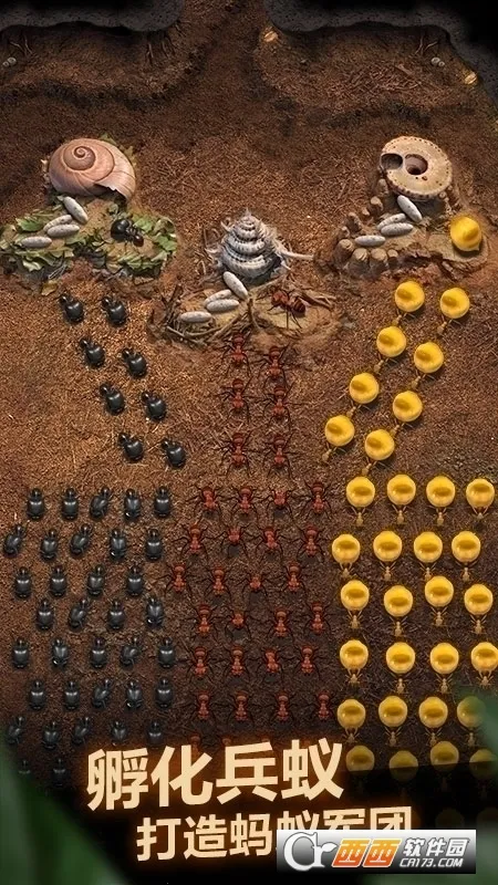 The Ants(СС�Ϲ���Ϸ)v3.87.0 ��׿��