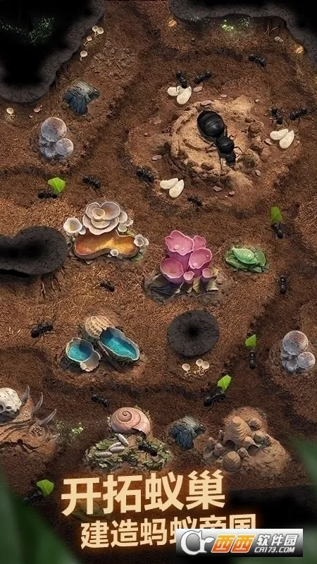 The Ants(СС�Ϲ���Ϸ)v3.87.0 ��׿��