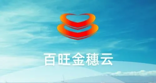 百旺金穗云安卓版手机版 百旺金穗云安卓版手机版