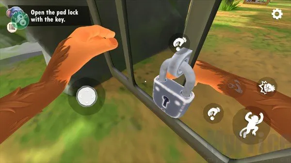 ����һֻ������