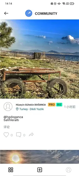 Windy��ɫ����(����Ԥ�����)v1.05 �ֻ���