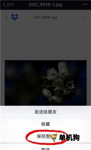 dropbox2026����