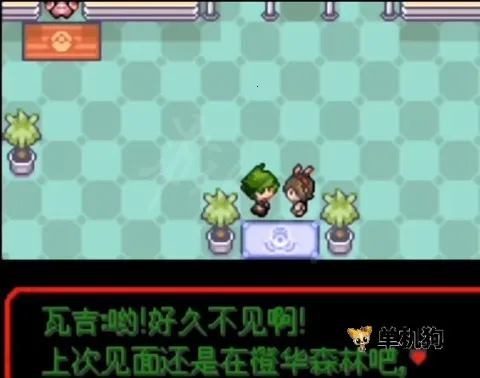 �ڴ�����Ů����2026����