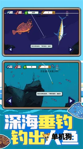 �Ϻ�С���2026�ٷ����°汾