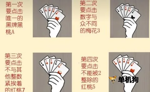 ��������2026���°汾