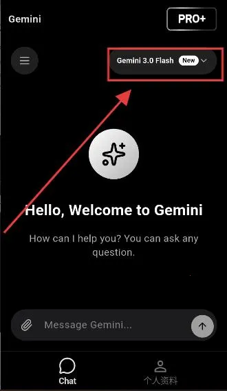 GeminiPro(����AI����)