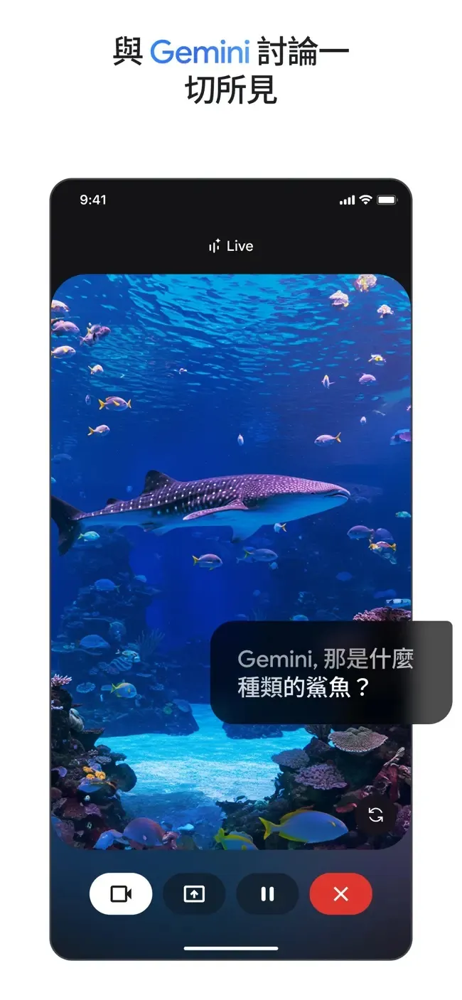 GeminiPro(����AI����)v1.0.1 �ֻ���