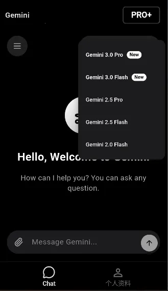 GeminiPro(����AI����)
