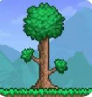 ̩������wikiv1.4.5.4.2 �ֻ���