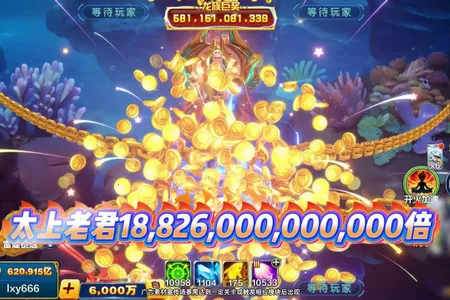 ����󿧿�(������������)