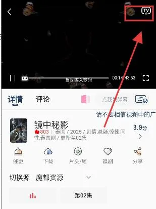 ׷��è2026�ٷ�����