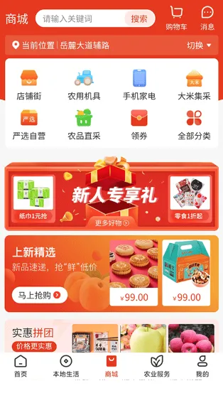 ����2026����