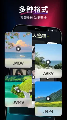 ������Ƶ��Ѳ�����2026���°汾v1.0.0 �ֻ���