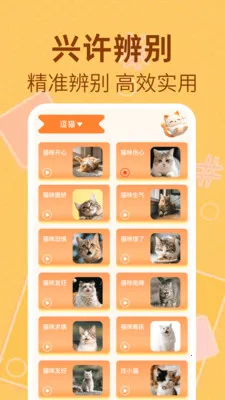 è�����﷭����(����Ȥζ��ͨӦ��)v1.0.2 ��׿��