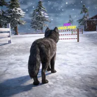 ��ģ���� 3D2026����v1.0.6 �ֻ���