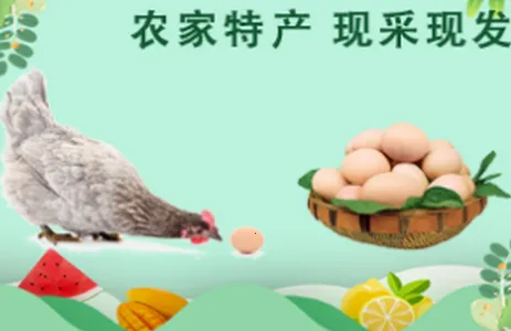 �������2026�ٷ�����